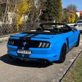 Ford Mustang 3.7 V6 | Prins LPG Gasanlage | Cabrio - mit LPG-Antrieb: Roadster