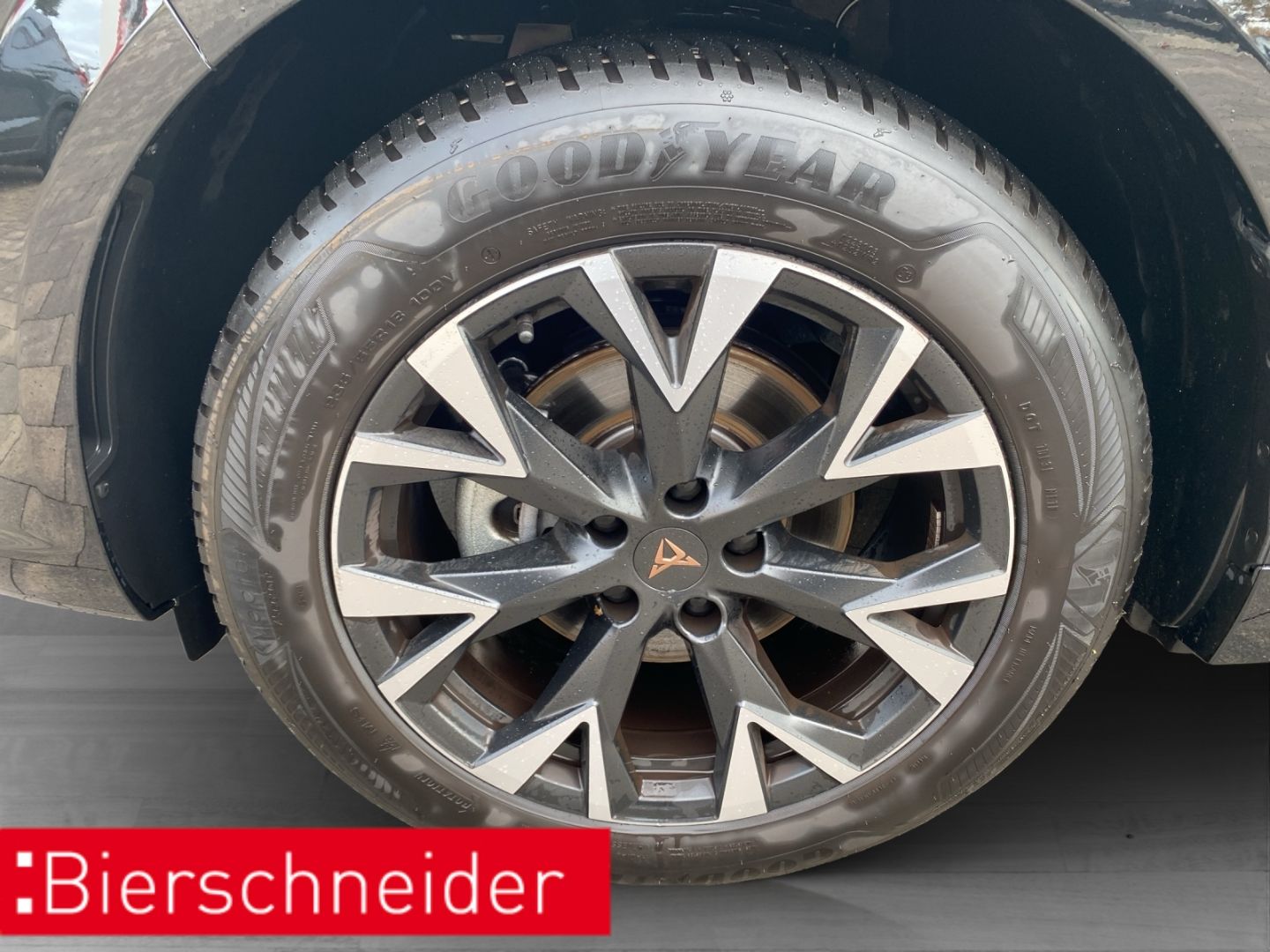 Cupra Terramar - Bild 4