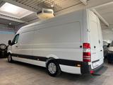 Mercedes-Benz Sprinter 313/316 CDI Maxi Hoch+Lang*Garantie* - Mercedes-Benz Sprinter: Maxi Lang