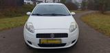 Fiat Punto 1,4 8v Active top zustand wenig... - Fiat Punto aus 2009: 1.4