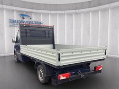 Autohaus Thorwesten Gebrauchtwagen