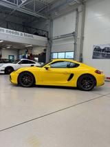 Porsche Cayman GTS Racing yellow Pristine condition  - Porsche Cayman in Berlin