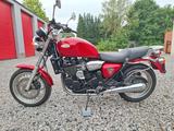Triumph Legend TT - Offers matching your search criteria
