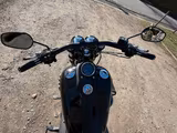 Harley-Davidson Fat Bob - Motorräder in Solingen