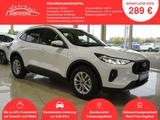 Ford Kuga 1,5 186PS Aut.5*J.Gar/LED/Navi/ACC/Winterp. - gebrauchte Ford SUV & Geländewagen