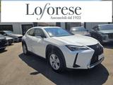 Lexus LEXUS UX 250h UX Hybrid Business - Lexus UX aus 2020