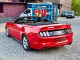 Ford Mustang 3.7 Cabrio Automatik,Xenon,R-Kamera - Ford Mustang: Rot, Cabrio