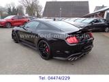 Ford Mustang Shelby GT500 *NEUWAGEN* sofort verfügbar - Ford Mustang: Shelby Gt500