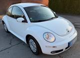 Volkswagen New Beetle  1,6l - Volkswagen New Beetle mit Benzin-Antrieb: Limousine, 1.6