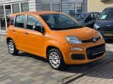 Fiat Panda Easy 1 Hand - Fiat Panda Gebrauchtwagen in Mannheim