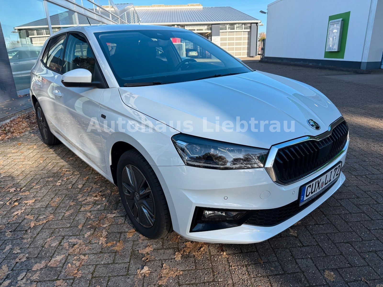 Skoda Fabia - Bild 2