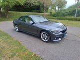 BMW 430i xDrive Cabrio  - BMW 430 aus 2019