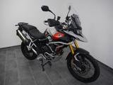 Triumph Tiger 900 Rally Pro // 1.Hand // 2024 // sofort - TRIUMPH TOURER