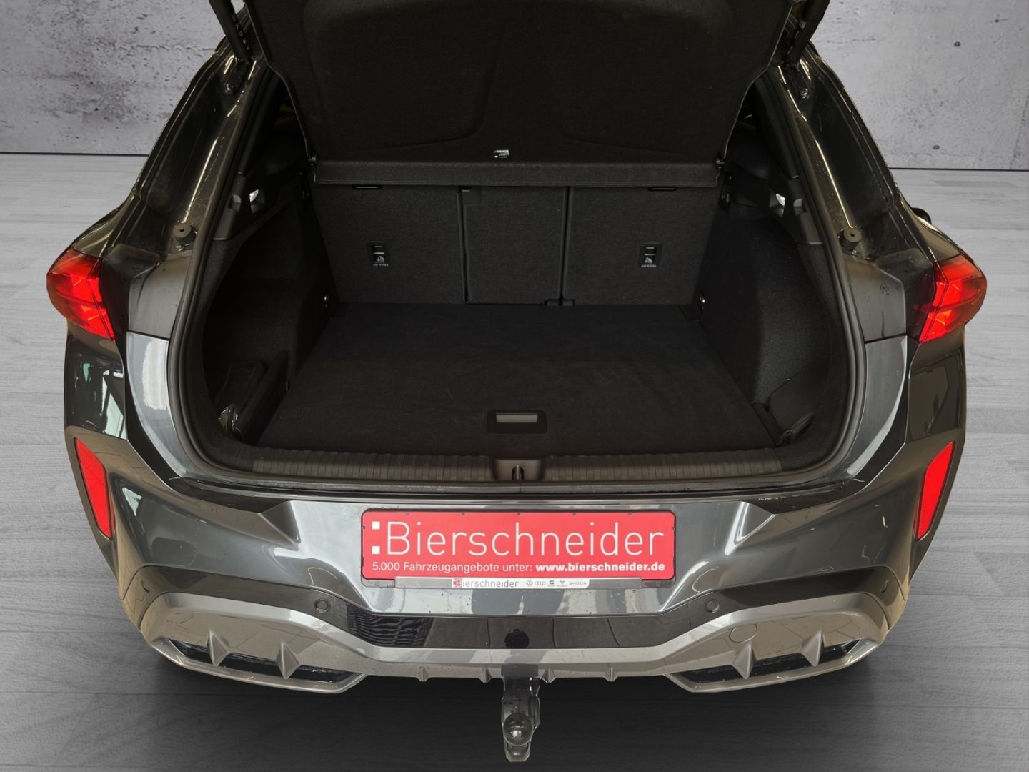 Cupra Terramar - Bild 18