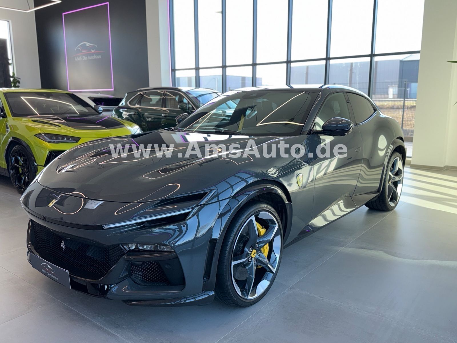 Purosangue Full Carbon Pano Massage