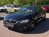 BMW 420i Cabrio Luxury *BI-Xenon*Leder*PDC*Navi*Klim - BMW 420: Cabrio
