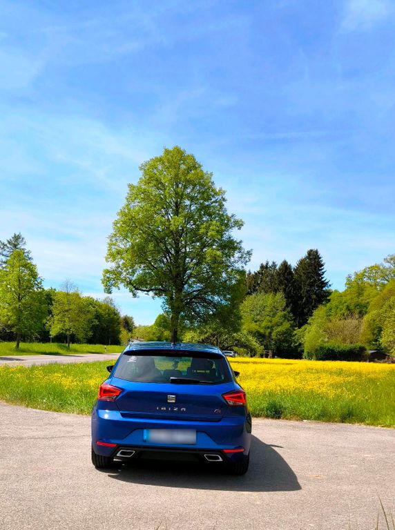 Image of Seat Ibiza
