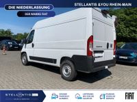 Fiat Ducato - Vorschau Bild 4