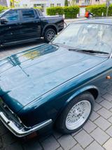 Jaguar XJ40 seltener Schalter 