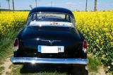 Andere GAZ, Wolga / M21 "Unikat", Note 1, voll Rest.,  - Andere mit Benzin-Antrieb: Limousine, Gaz Wolga 21