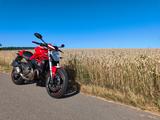 Ducati Monster 821 - DUCATI MONSTER 821
