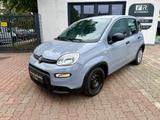 Fiat Panda Hybrid 1.0 GSE 51kw - Fiat Panda: 5.5