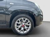 Fiat PANDA LOUNGE 1.2 KLIMA + FREISPRECHEINRICHTUNG - Fiat in Leipzig