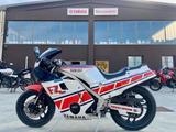 Yamaha FZ 600 1987- n2 prop. Conservata - YAMAHA FZ1N