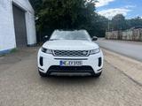 Land Rover Range Rover Evoque D150 AWD Automatik -