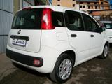 Fiat PANDA 1.3 Mjet Diesel 95Cv Euro6 EASY 2018 - Fiat Panda EASY mit Diesel-Antrieb