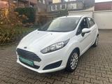 Ford Fiesta Trend, 5 türer, mit KLIMA, PDC - Ford Fiesta: Weiß, Türer