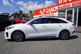 Kia ProCeed 1.6 T-GDI GT Navi ACC Panorama Totwinkel - gebrauchte Kia Kombis