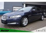 Jaguar XF 2.2 Diesel Aut. Navi Xenon Temp. SHZ Kamera P - blaue Jaguar XF