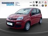 Fiat Panda MY25 Pandina Pop Hybrid 1.0 *PDC*KLIMA* - Fiat Panda: Rot