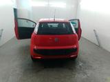 Fiat Punto - gebrauchte Fiat Punto aus dem Jahr 2010