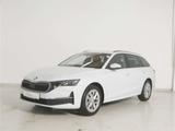 Skoda Octavia Combi 2.0 TDI Selection DSG Matrix/NAV - Skoda Jahreswagen mit Diesel-Antrieb