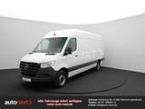 Mercedes-Benz Sprinter 317 Automat. MAXI+AHK 3,5t+KAMERA 5663 - Mercedes-Benz Diesel Kühlkastenwagen Sprinter