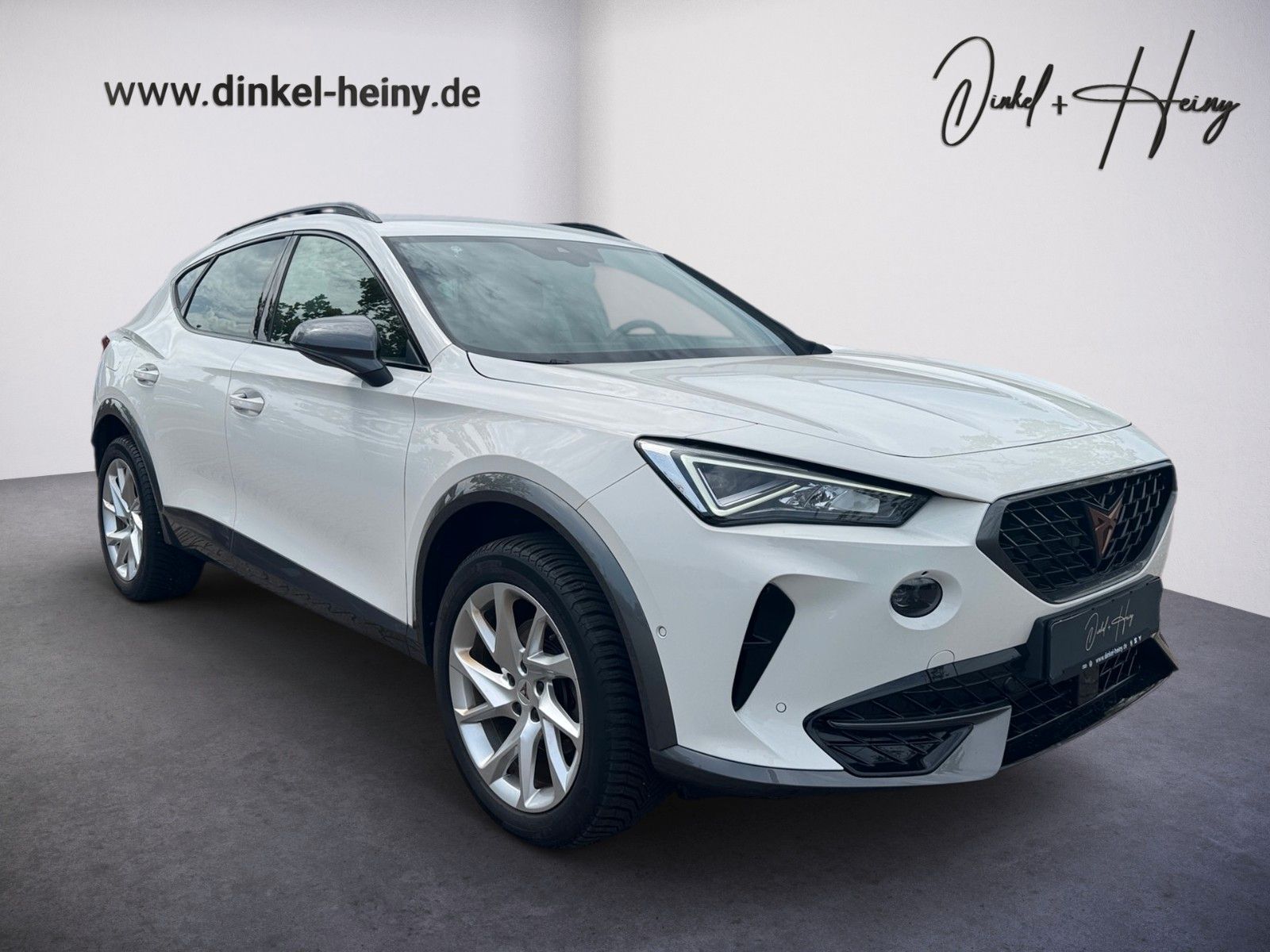 Fahrzeugabbildung CUPRA Formentor 2.0 TSI 4Drive