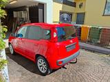 Fiat Panda 0.9 Lounge Automatik  Start&Stopp  Euro 6 - Fiat Panda Gebrauchtwagen in Augsburg