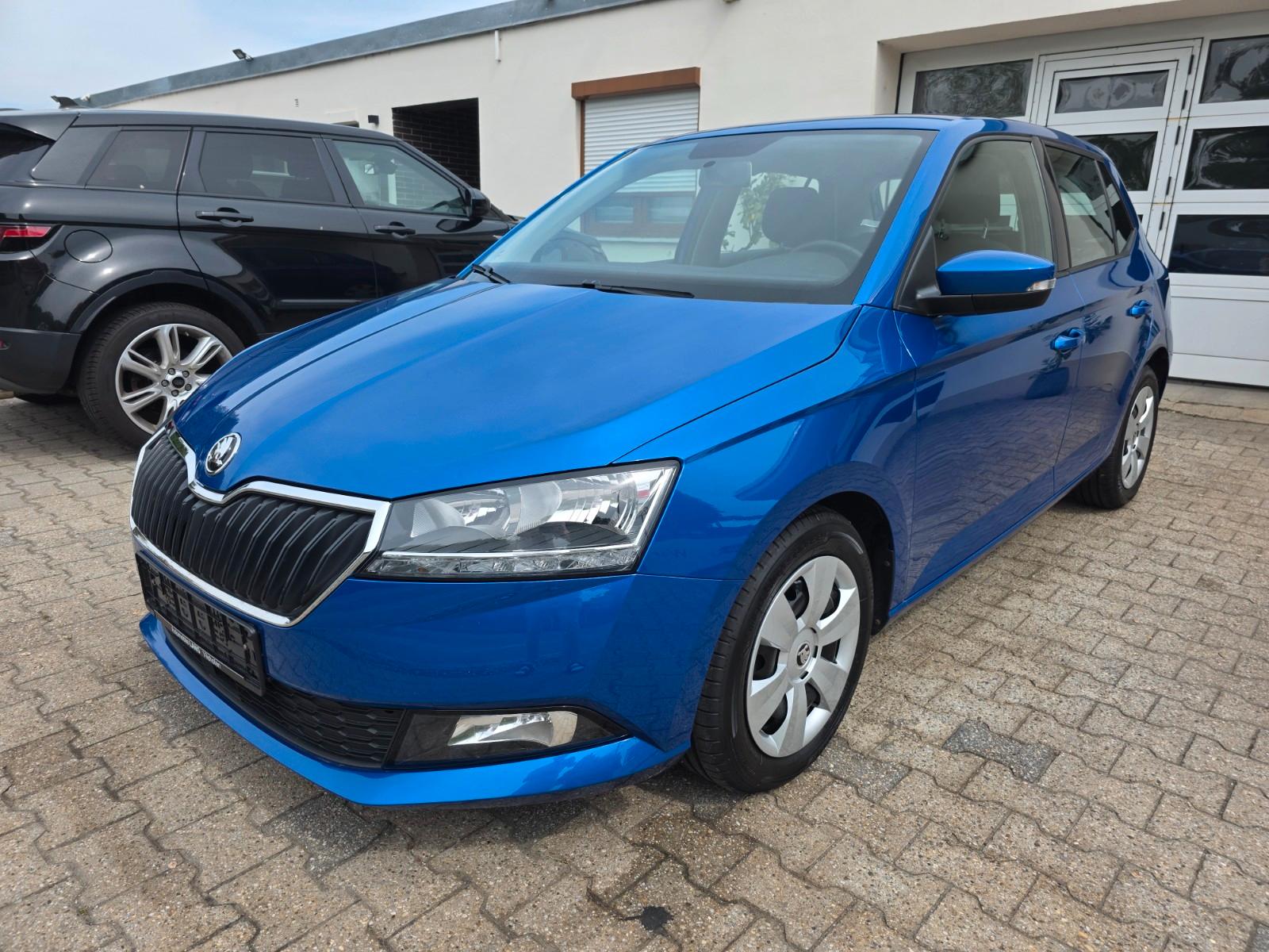 Skoda Fabia PDC SHZ