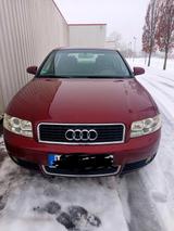 Audi A4  2004 Motorschaden - Audi: Motors