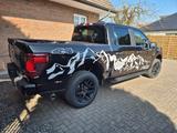 Ford F 150 5,0 V8 STX 4X4 CREWCAB 700km NEUWERTIG - Ford: Pickup, F1