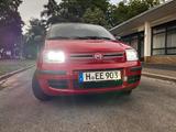 Fiat Panda 169 Neue Allwetterreifen  - Fiat Panda 169