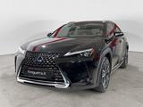 Lexus UX UX 250H 4WD Luxury - Lexus UX aus 2019