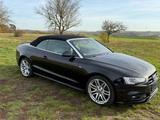 Audi A5 Cabriolet 3.0 TDI 160kW quattro S-ine  - Audi A5: Cabrio, 3.0