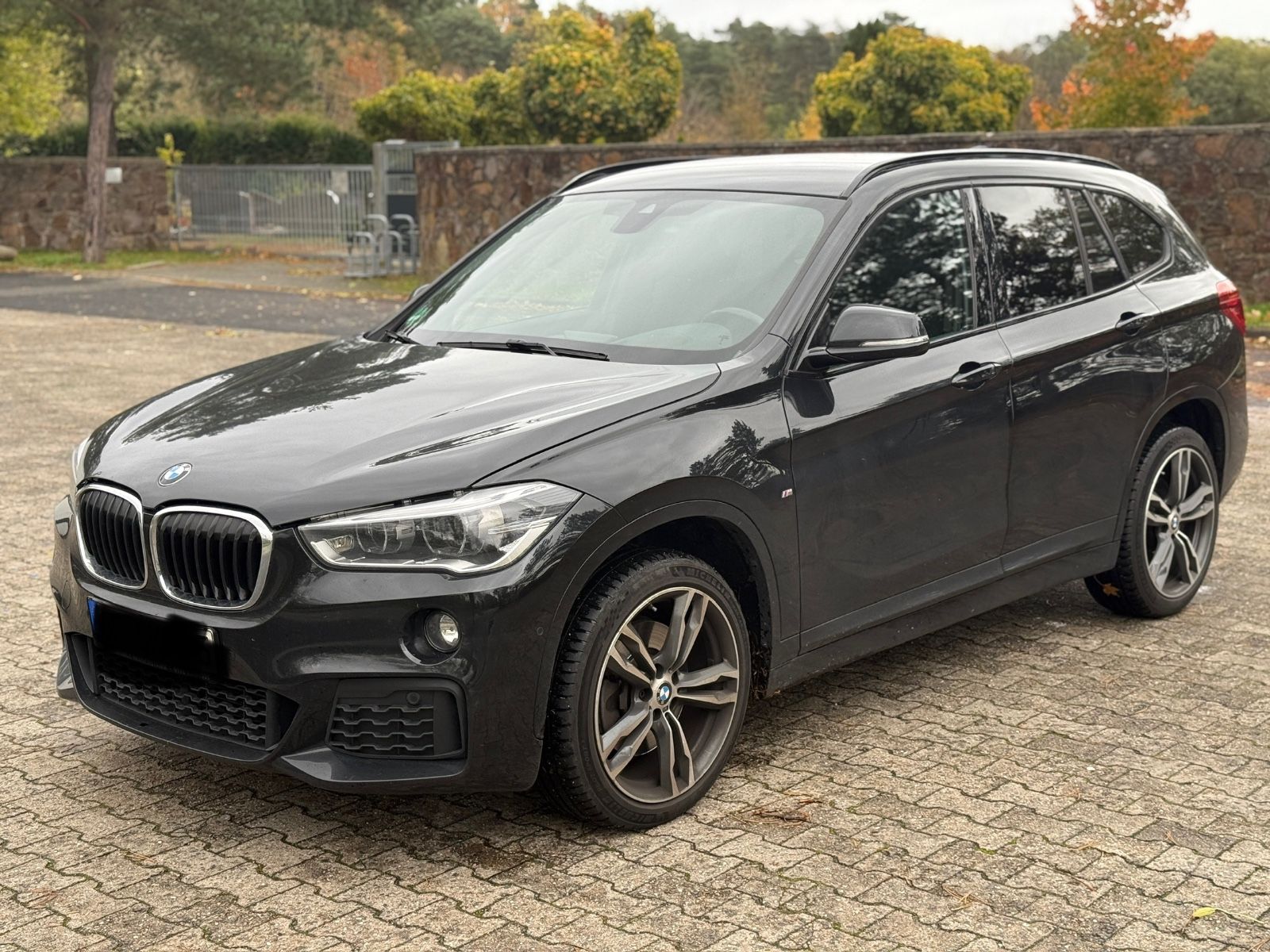 BMW X1 xDrive 25 d M Sport