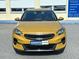Kia XCeed Platinum Edition Auto*Leder*Navi*AHK*1Hand - Kia XCeed SUV