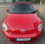 Volkswagen Beetle 1.2 TSI BMT ALLSTAR Cabriolet ALLSTAR - Volkswagen Beetle: Allstar
