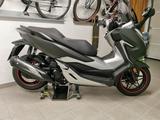 Honda Forza 300 - HONDA FORZA 300