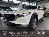 Mazda CX-30 2.5L e-SKYACTIV G 140ps Takumi 6AT FWD - Mazda CX-30 Takumi mit Hybrid-Antrieb (Benzin/Elektro)